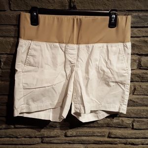 Maternity Ann Taylor Loft White Shorts